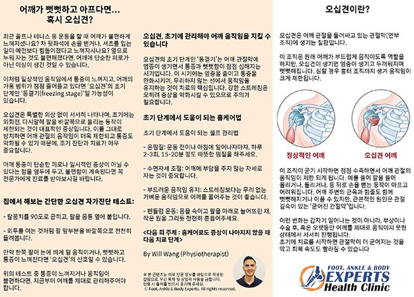 QLD-KOREAN-LIFE_FrozenShoulder_300dpi.jpg