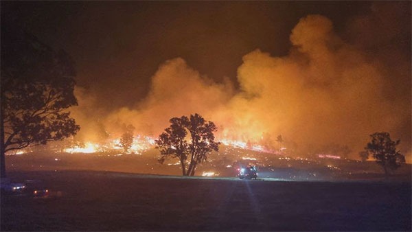 9news_빅토리아-산불-비상사태-선포.jpg