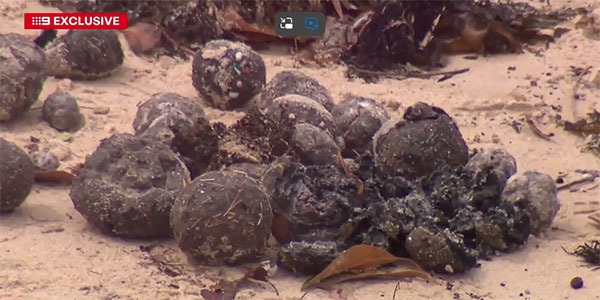 9news_시드니-해변-기름덩어리-2.jpg