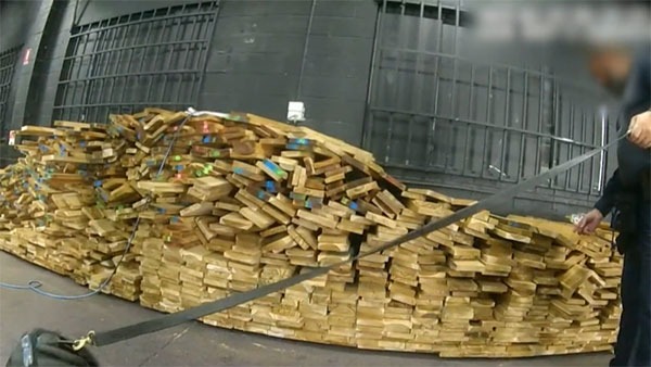 9news_목재-속-코가인-적발.jpg